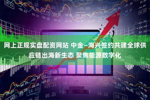 网上正规实盘配资网站 中金—海兴签约共建全球供应链出海新生态 聚焦能源数字化
