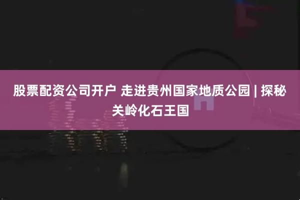 股票配资公司开户 走进贵州国家地质公园 | 探秘关岭化石王国