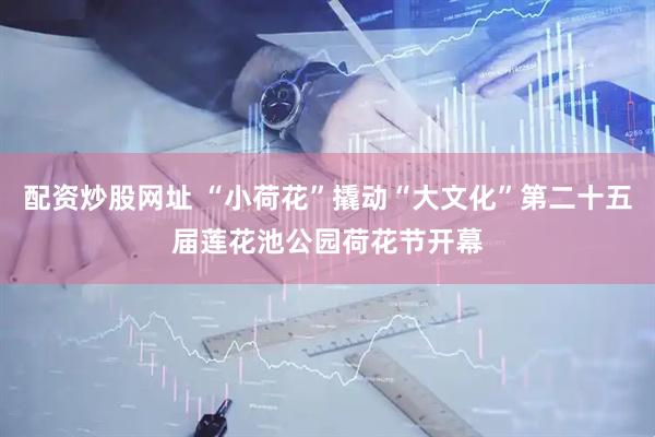 配资炒股网址 “小荷花”撬动“大文化”第二十五届莲花池公园荷花节开幕