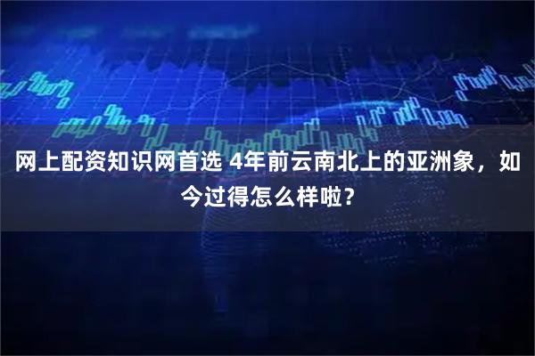 网上配资知识网首选 4年前云南北上的亚洲象，如今过得怎么样啦？